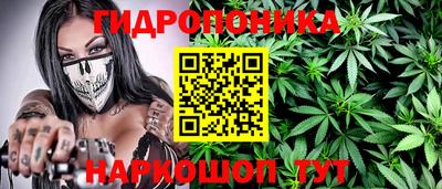 стаф Будённовск